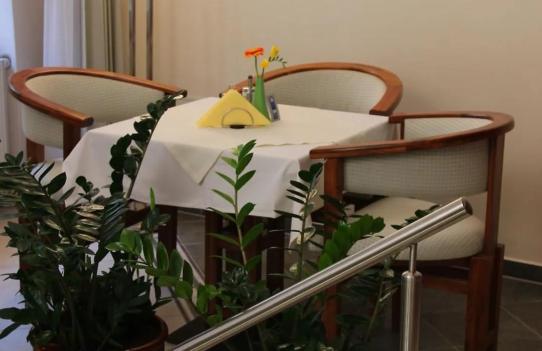 Hotel Penzion Na Hradě-1